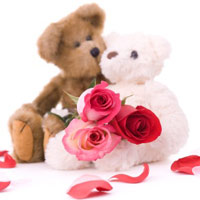 nallet_200